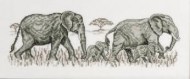 Elephants 12-83248